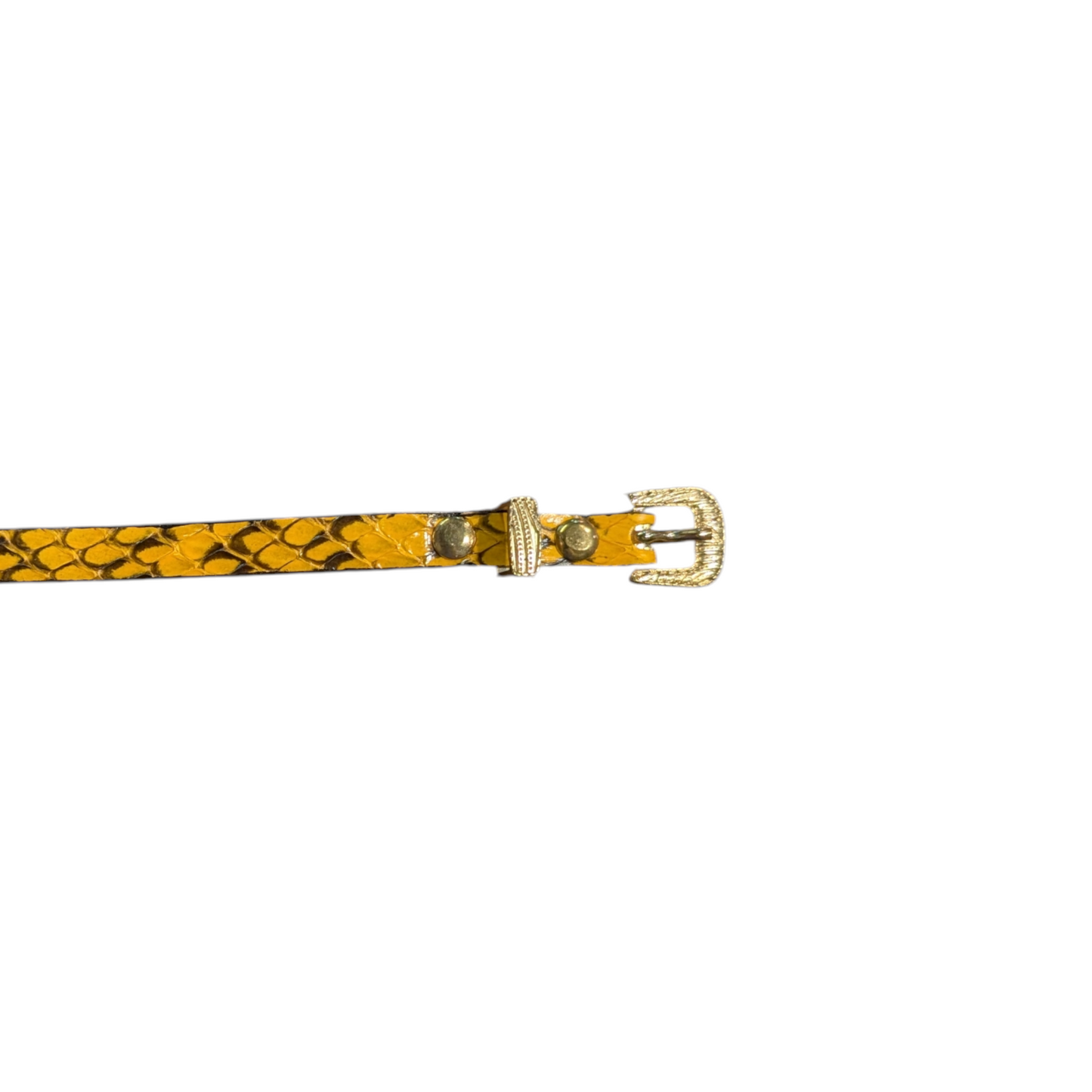 Hat Band (0016) Yellow Snake Skin