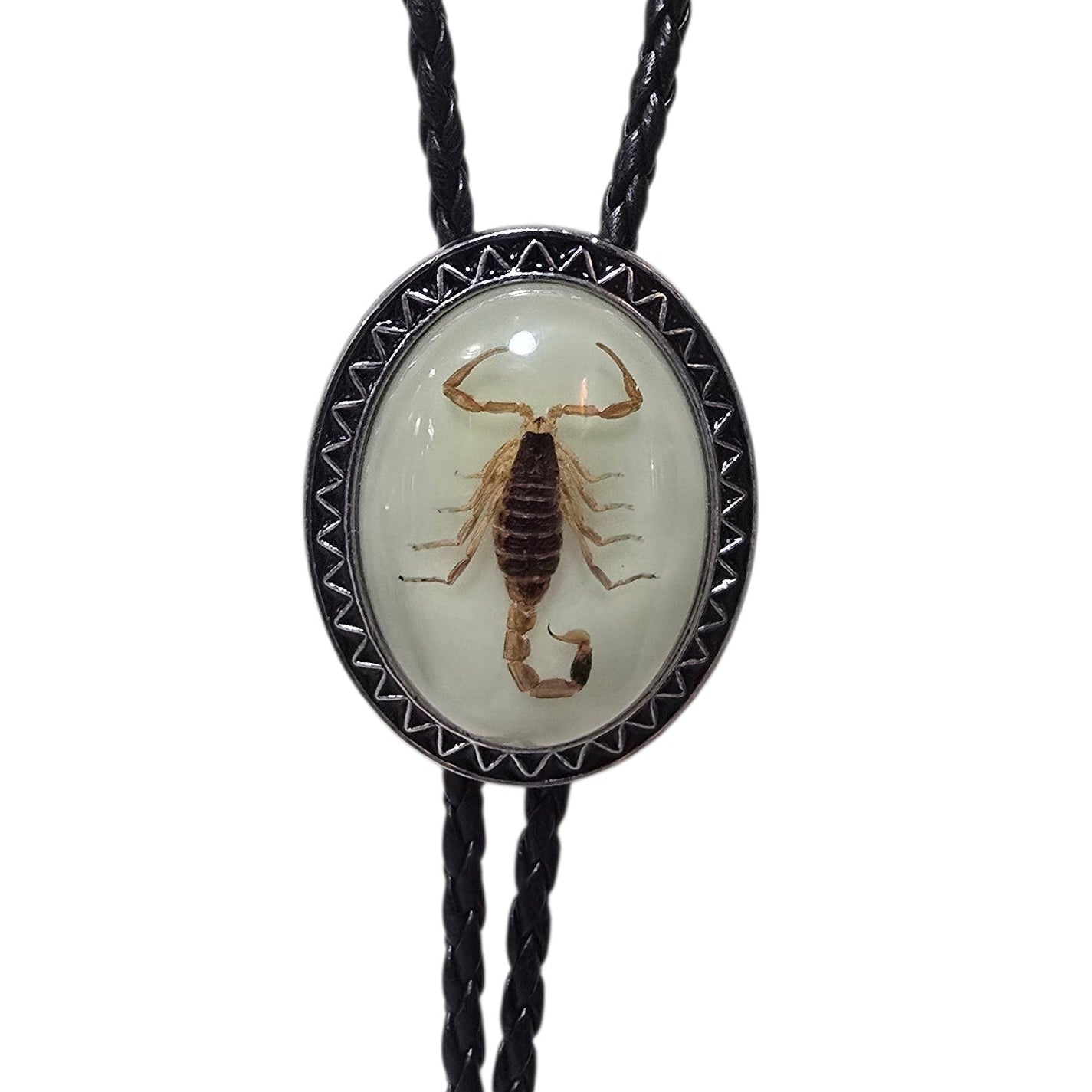 Western Bolo Tie (0078) - Silver & Black w/ Genuine Scorpion (B)