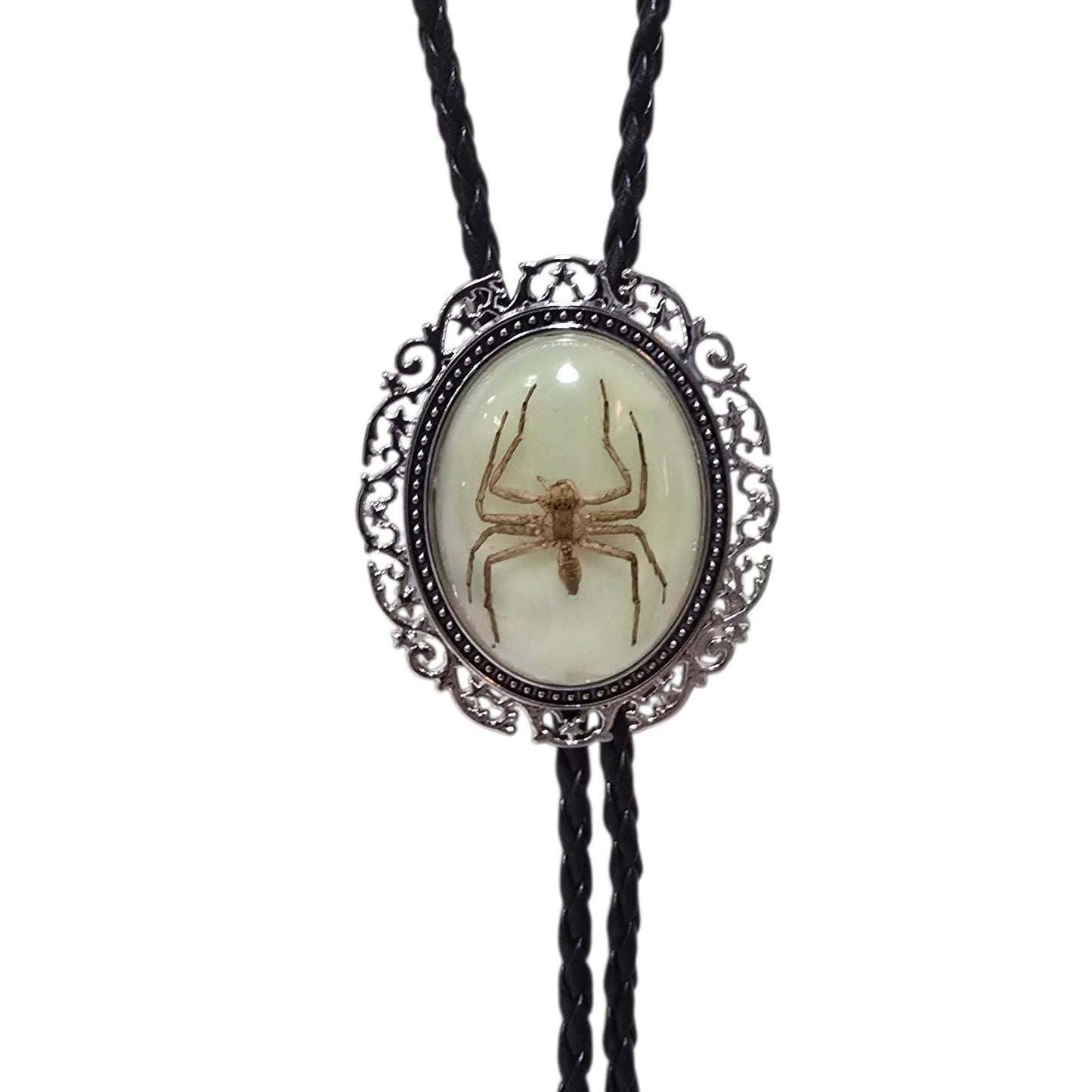 Western Bolo Tie (0079) - Silver w/ Genuine Spider