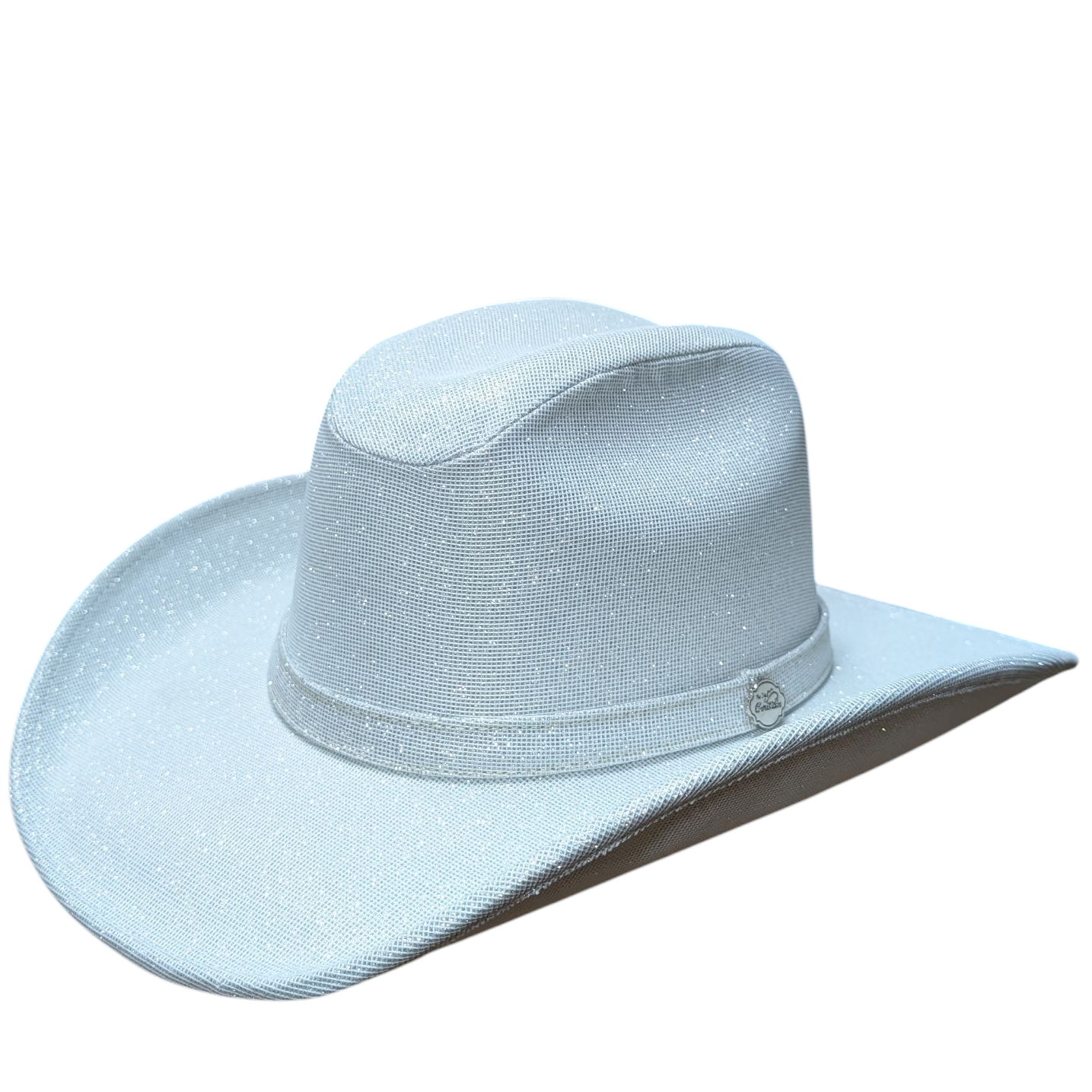 Silver Sparkly Cowboy Hat