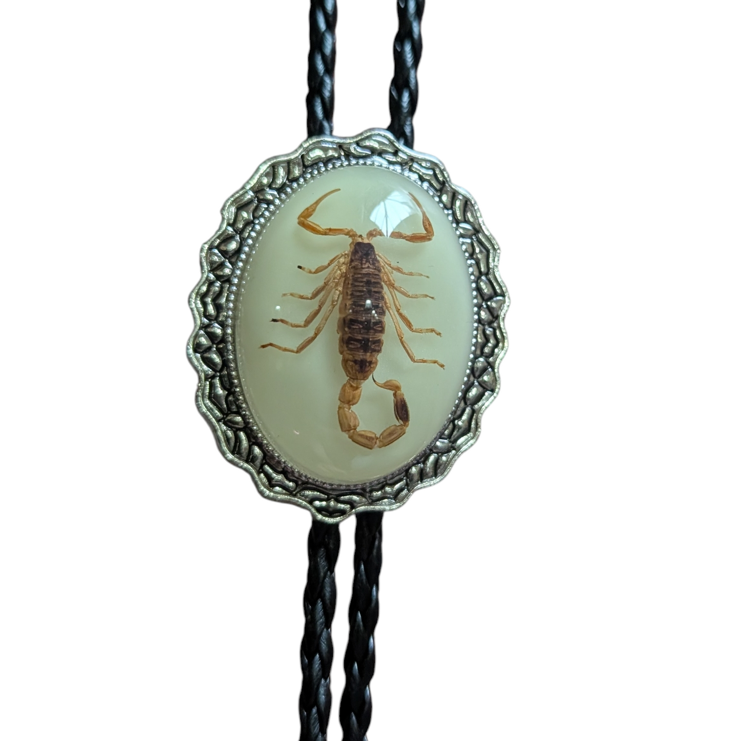 Western Bolo Tie (0056) - Silver w/ Genuine Scorpion