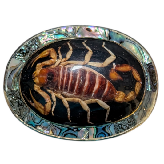 Premium Western Buckle (0057) - Black w/ Genuine Scorpion